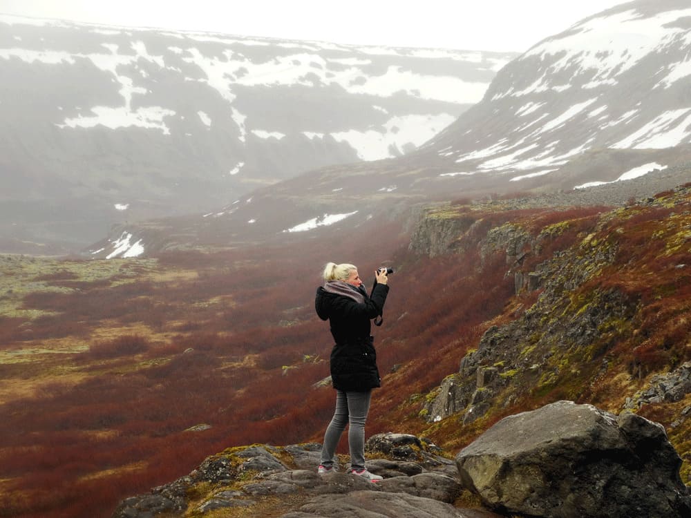Tips IJslandse Westfjorden