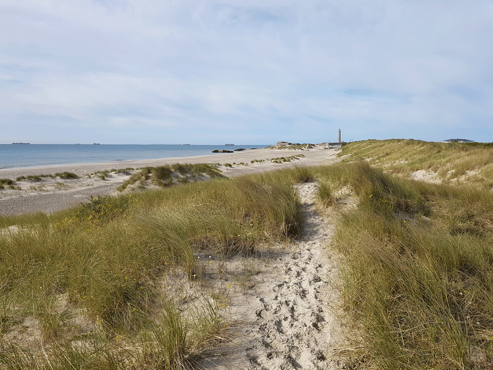 Skagen en Grenen Denemarken