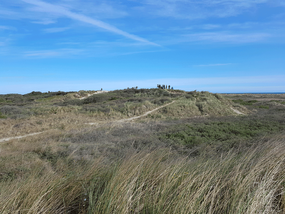 Vogelspotten Noord-Jutland