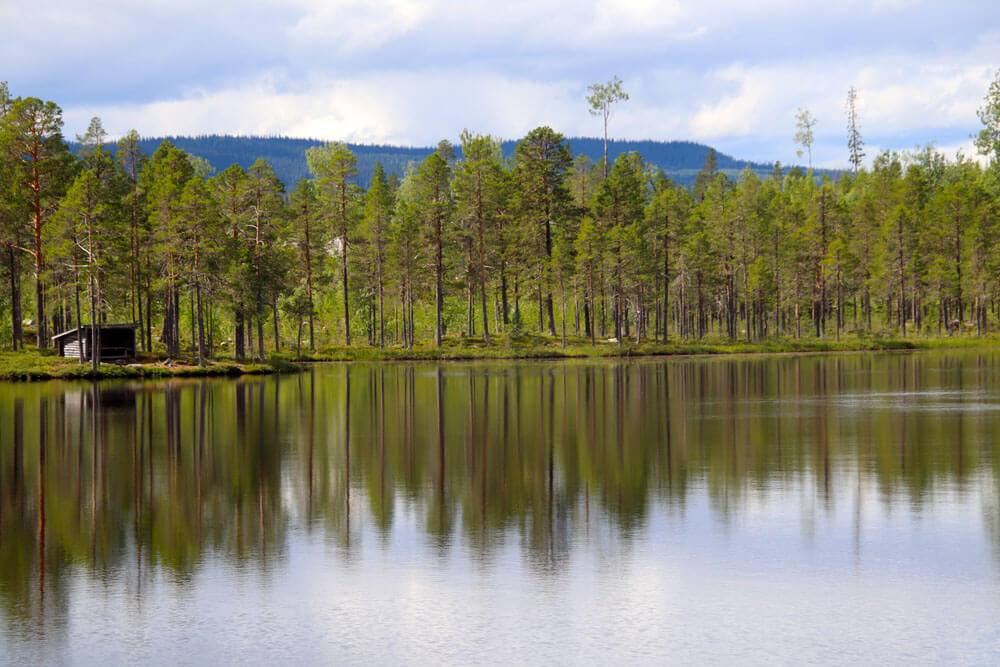 Natuurgebied Andersön Jämtland Zweden