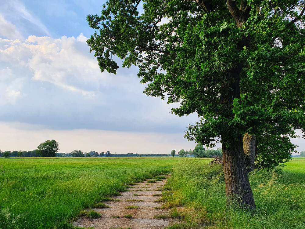 Erop uit in de Achterhoek