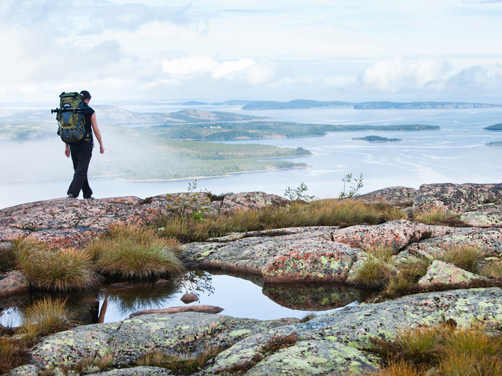 Skuleskogen National Park: van oerbos tot zee