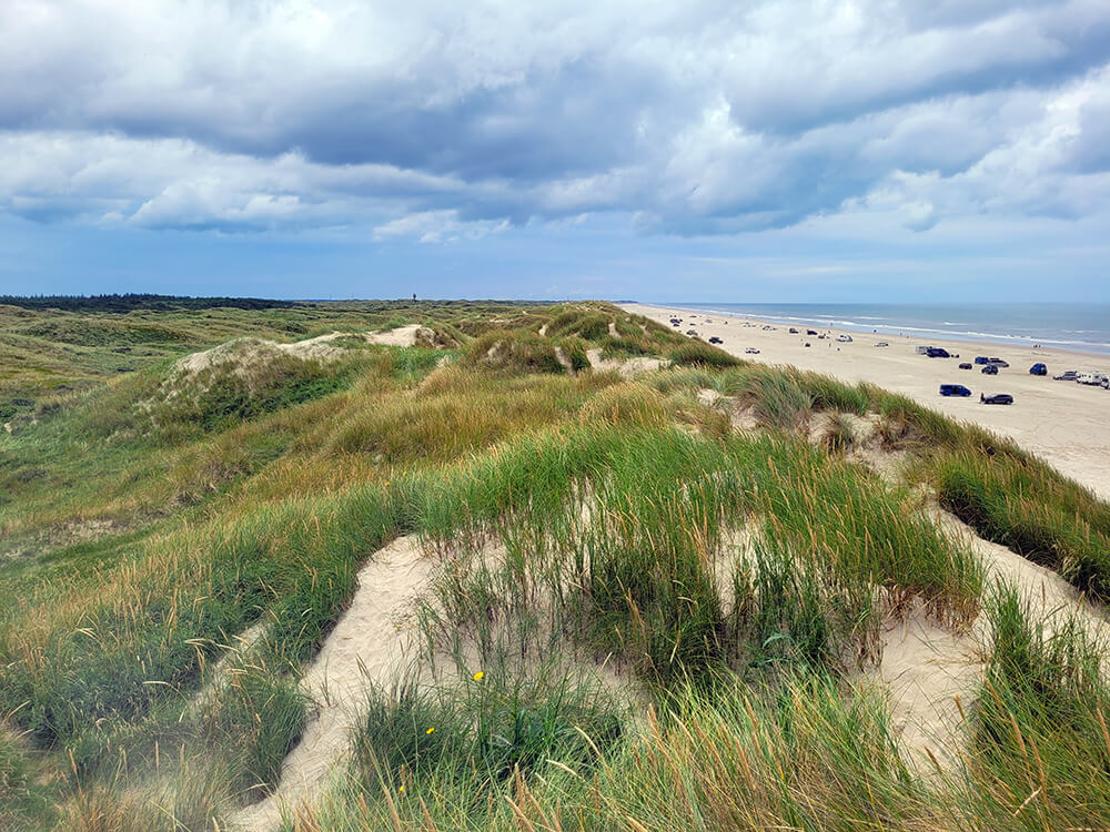 Duinen in Denemarken